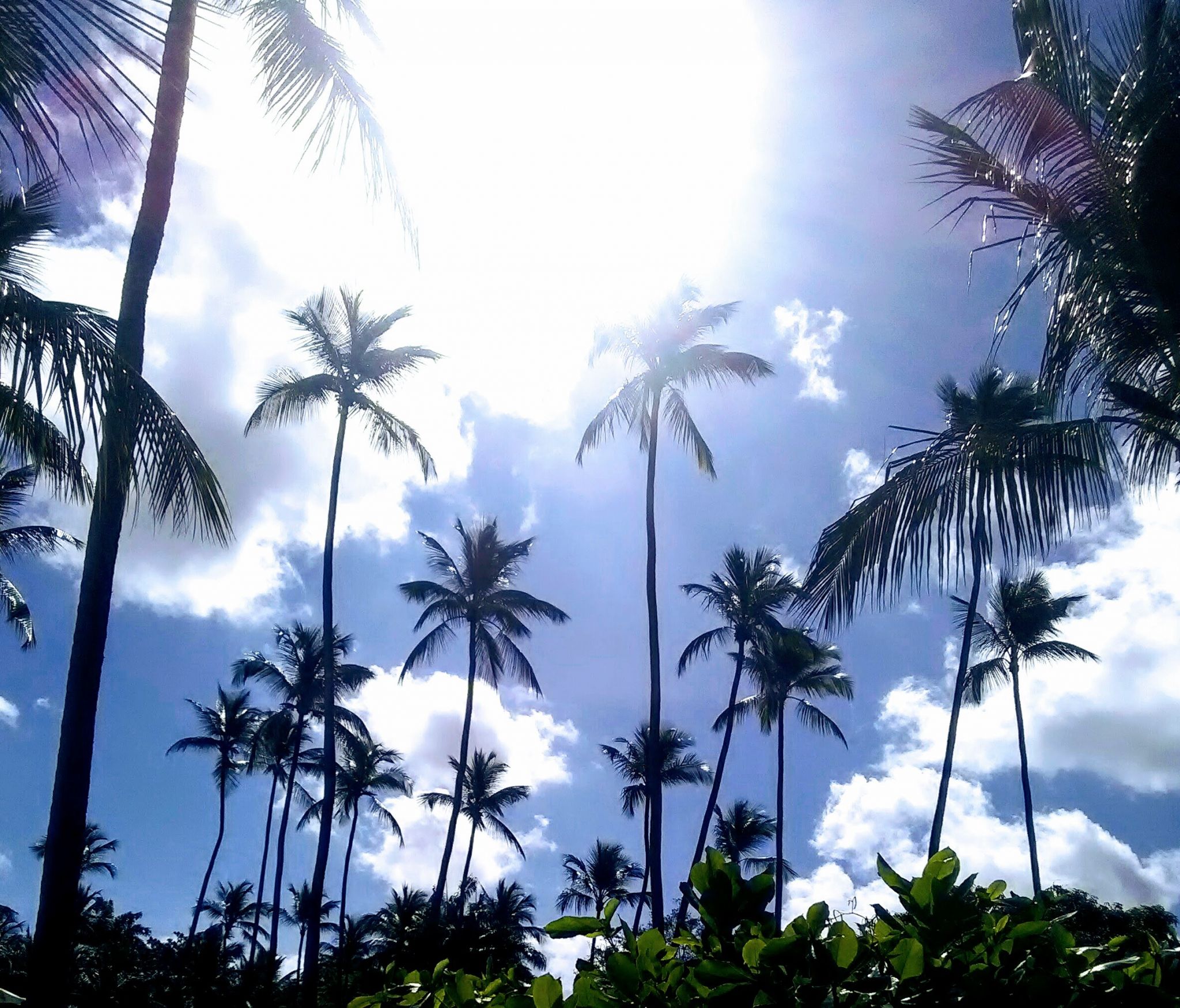 Barbados Trip Report 2018 – Final Episode