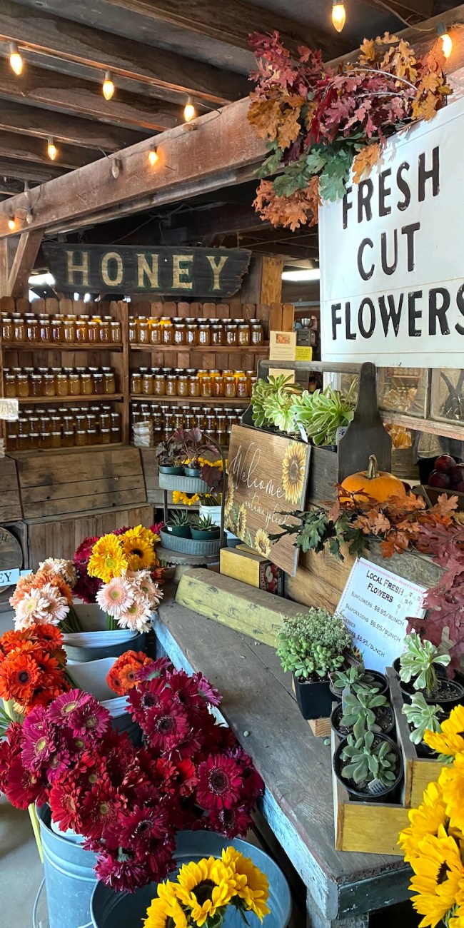 Avila Valley Barn farm stand 3
