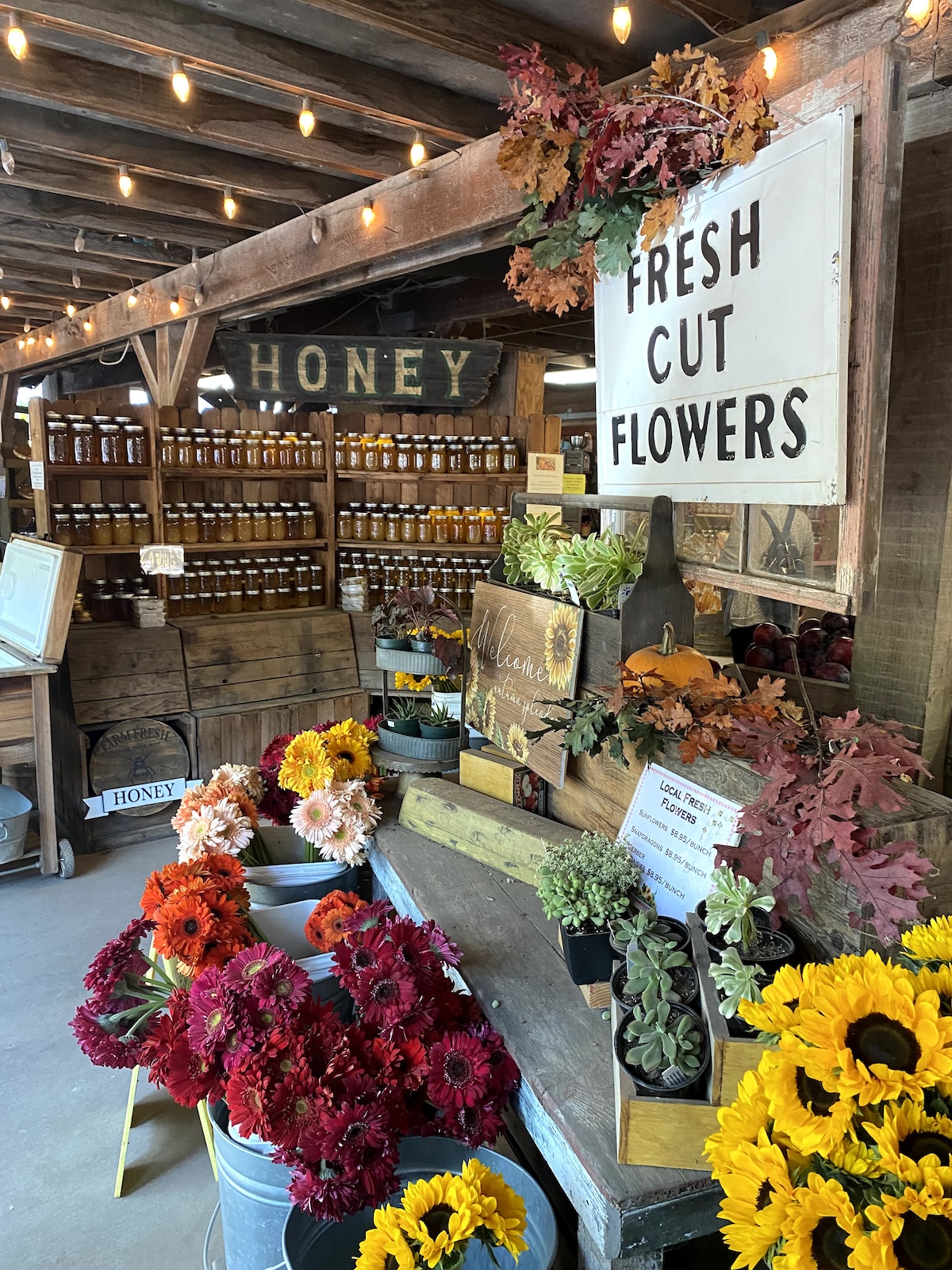 Avila Valley Barn farm stand 3