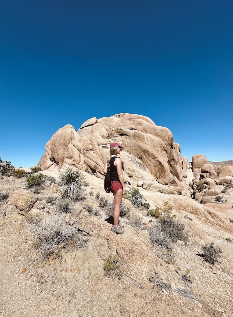 Joshua Tree feature image