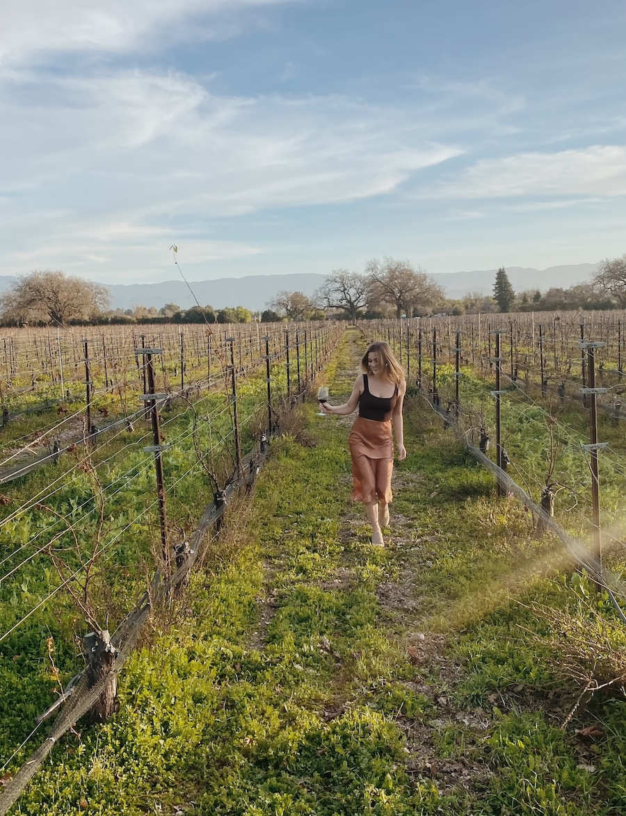 Wine Tasting in the Santa Ynez Valley