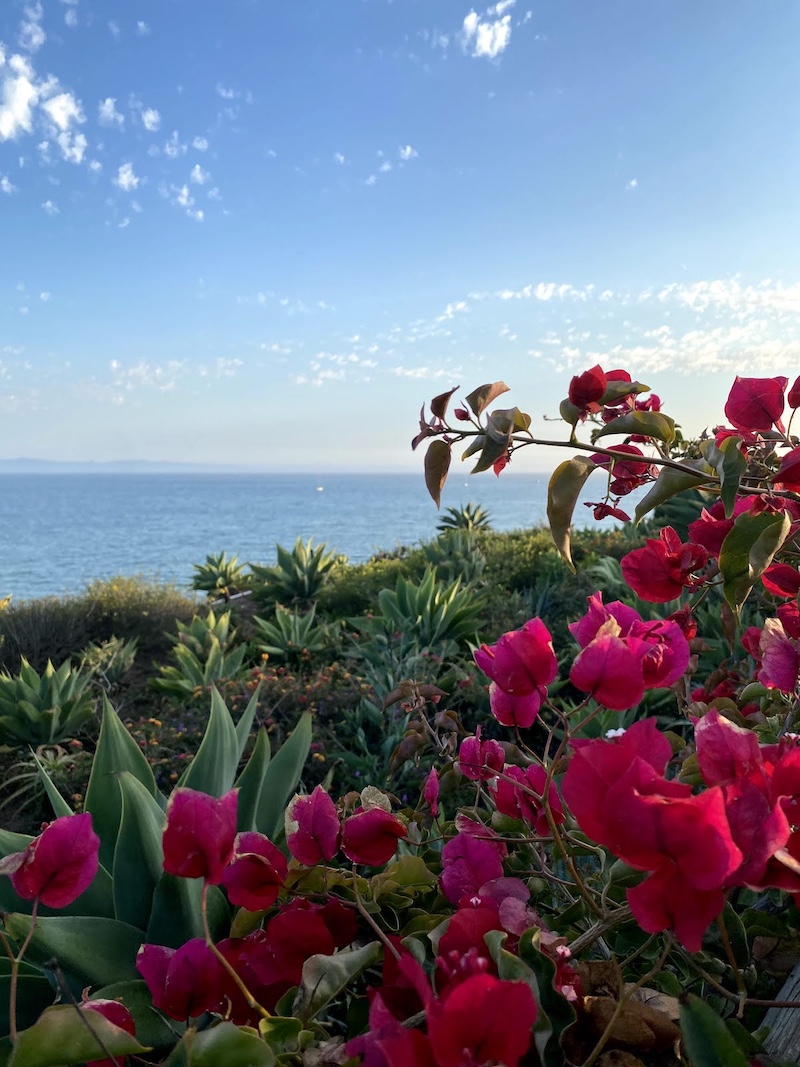 Santa Barbara riviera