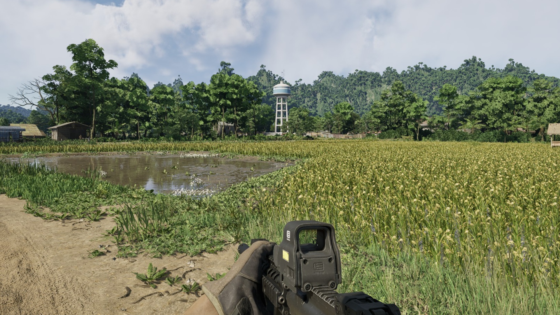 Gray Zone Warfare Rice Fields