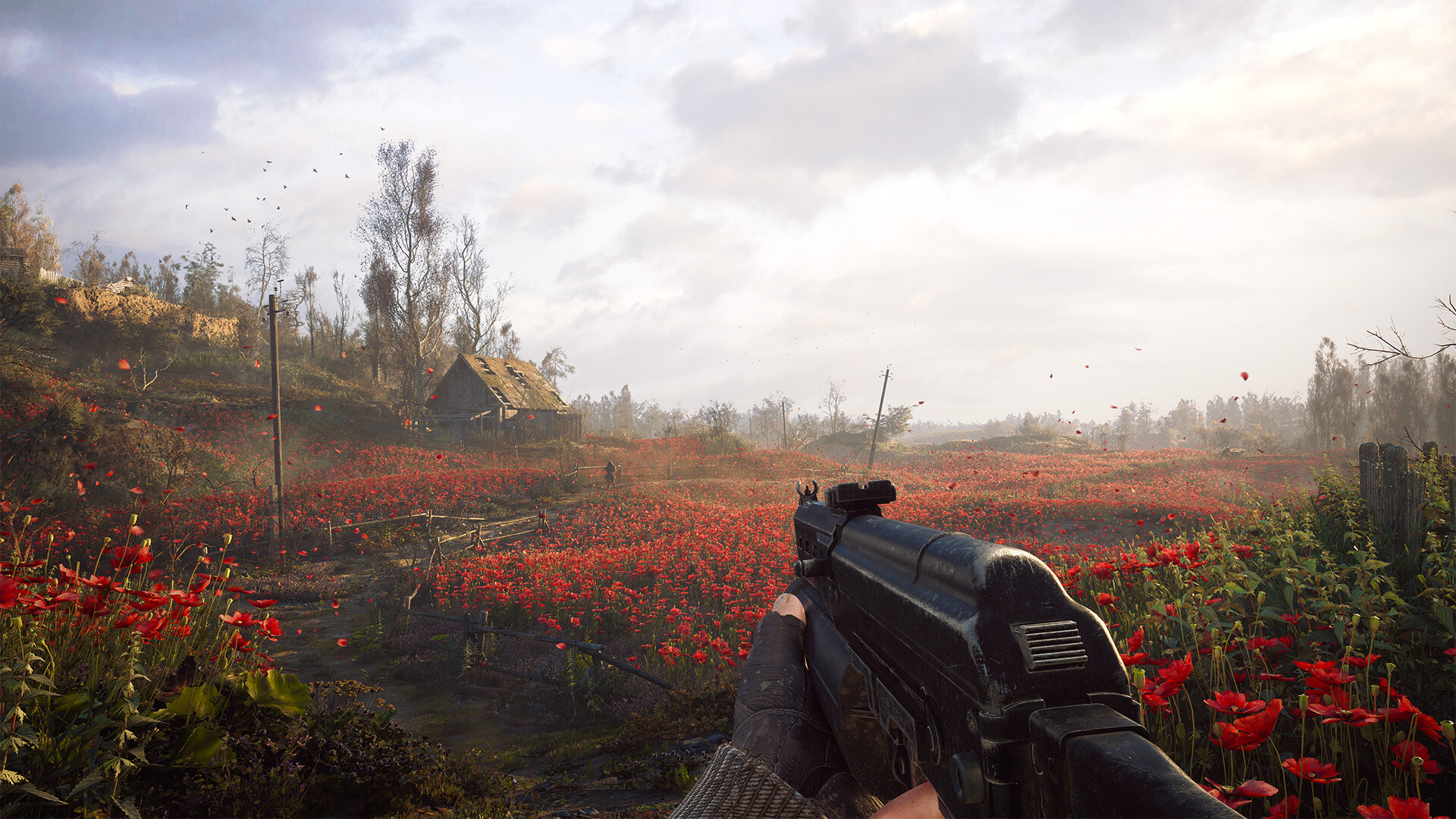 Stalker 2 Fields
