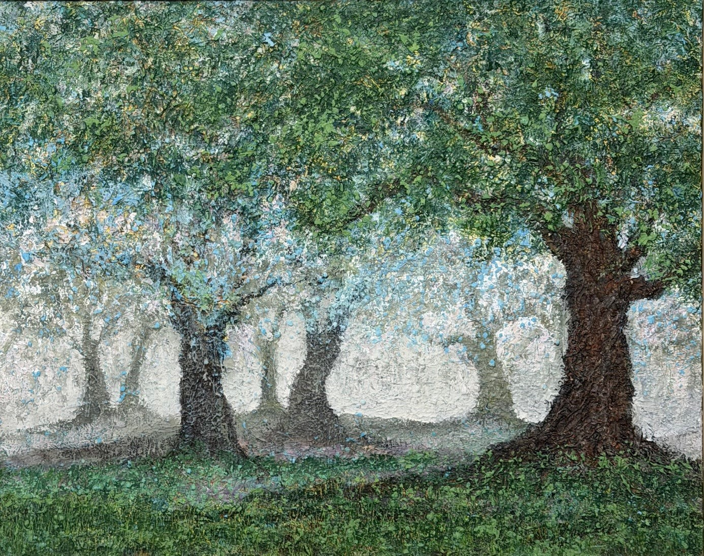Oaks in the Morning