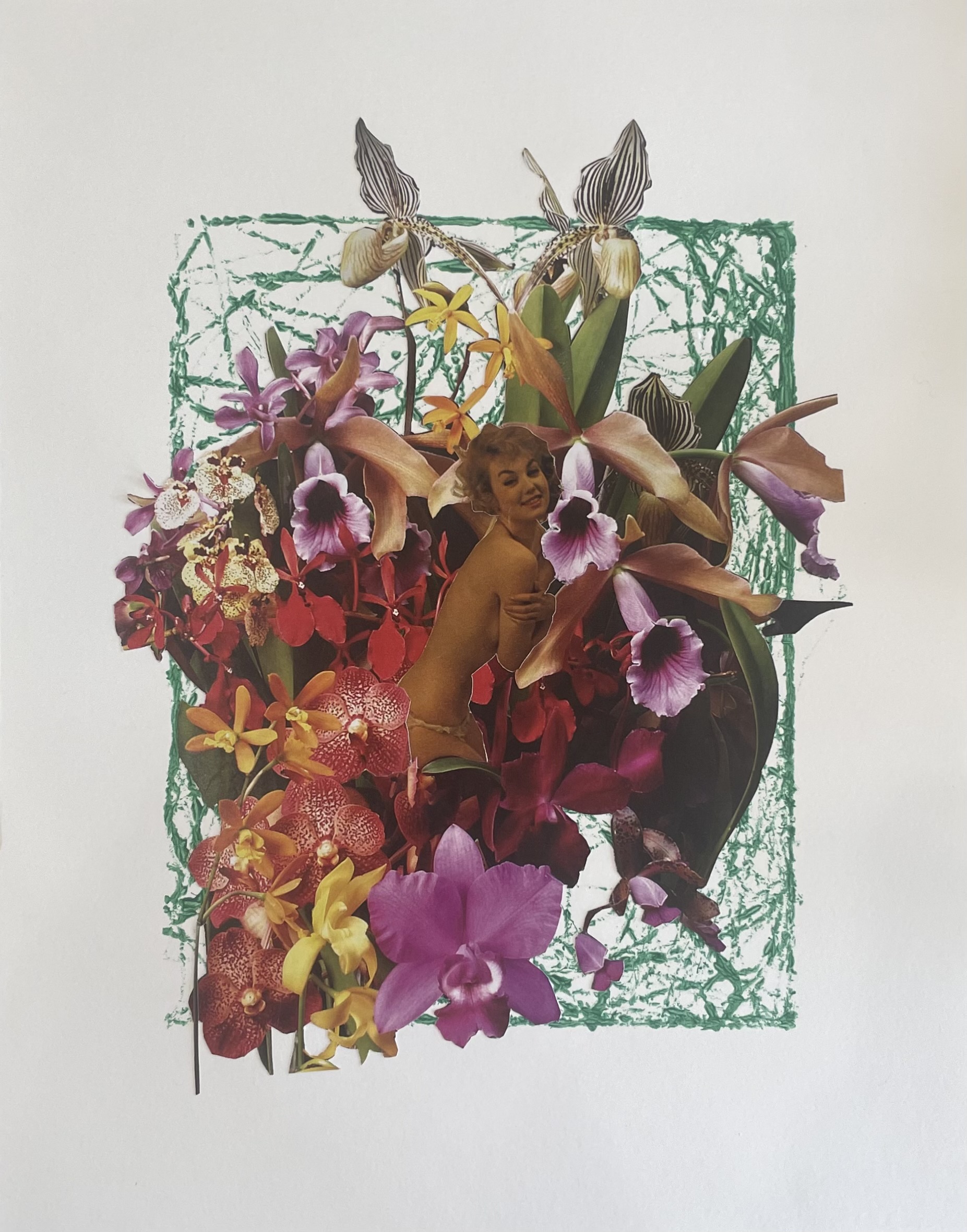 The Audacity of Orchids