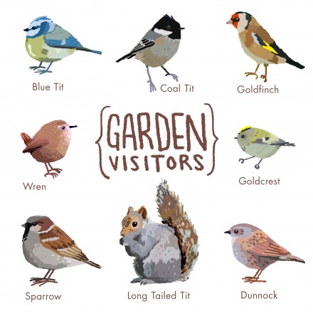 Garden Visitors