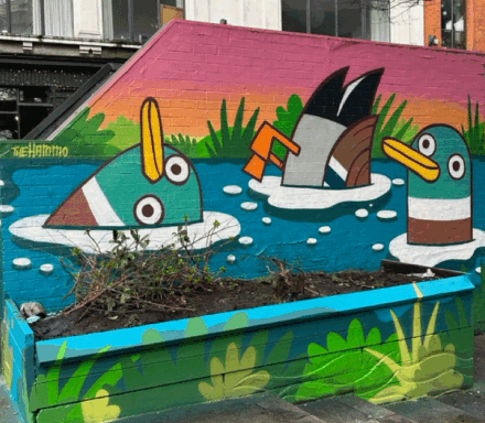 Ducks