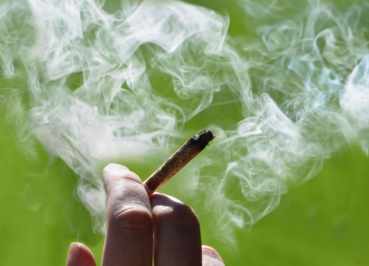 Esta playlist es perfecta para disfrutar el 4/20 y mucho más