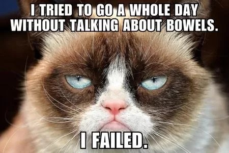 Photo of a really annoyed looking cat face.