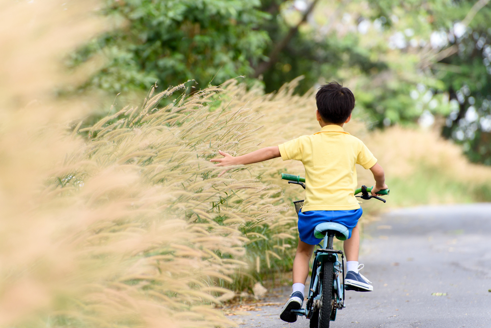 Promotion of Physical Activity in Rural, Remote, and Northern Settings: A Canadian Call to Action.