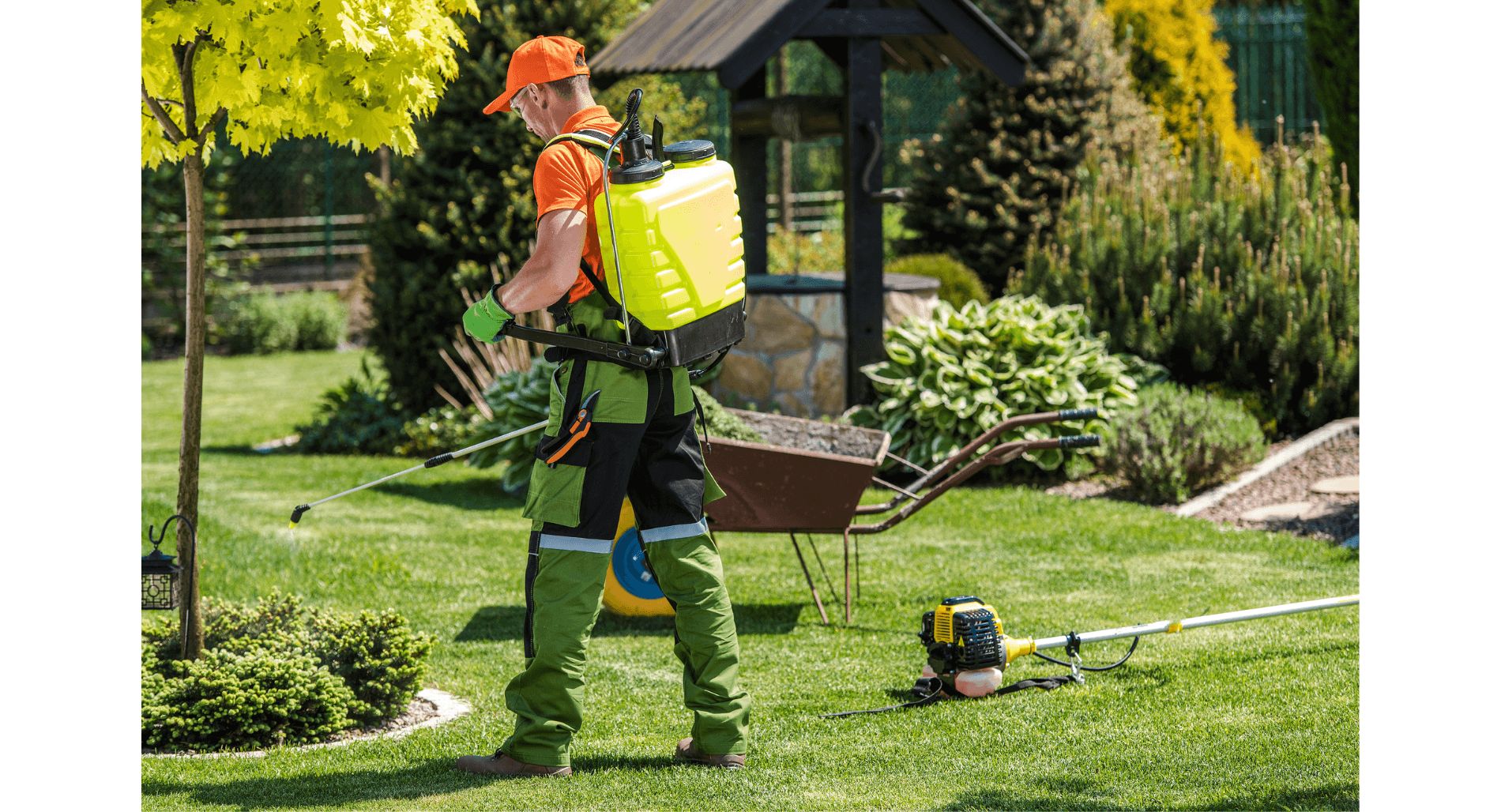 Featured image for “Springtime Yard Work and Hearing Loss”