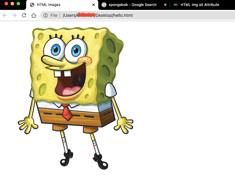 HTML Lists & Images - An Easy Guide To HTLM For Beginners - The Helpful ...