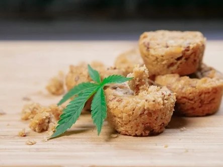 The Best Cannabis Infusers for Easy Edible Making: A High-Tech Guide