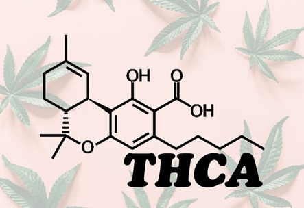 What’s THCA? What to Know Before Buying “Legal Weed”