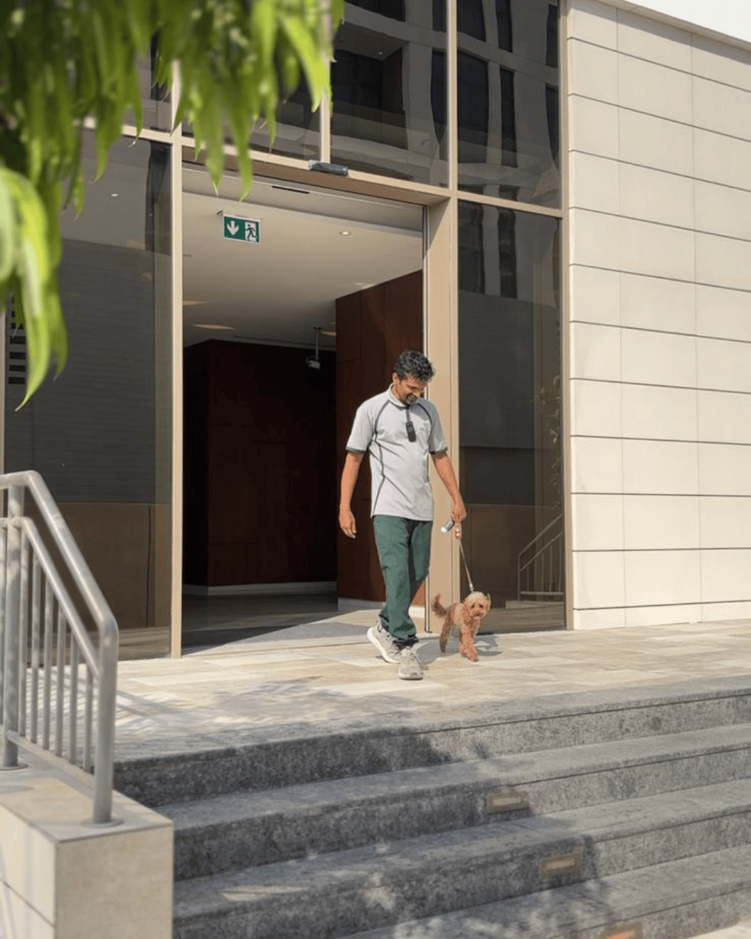 Professional pet walking service in Dubai Hills