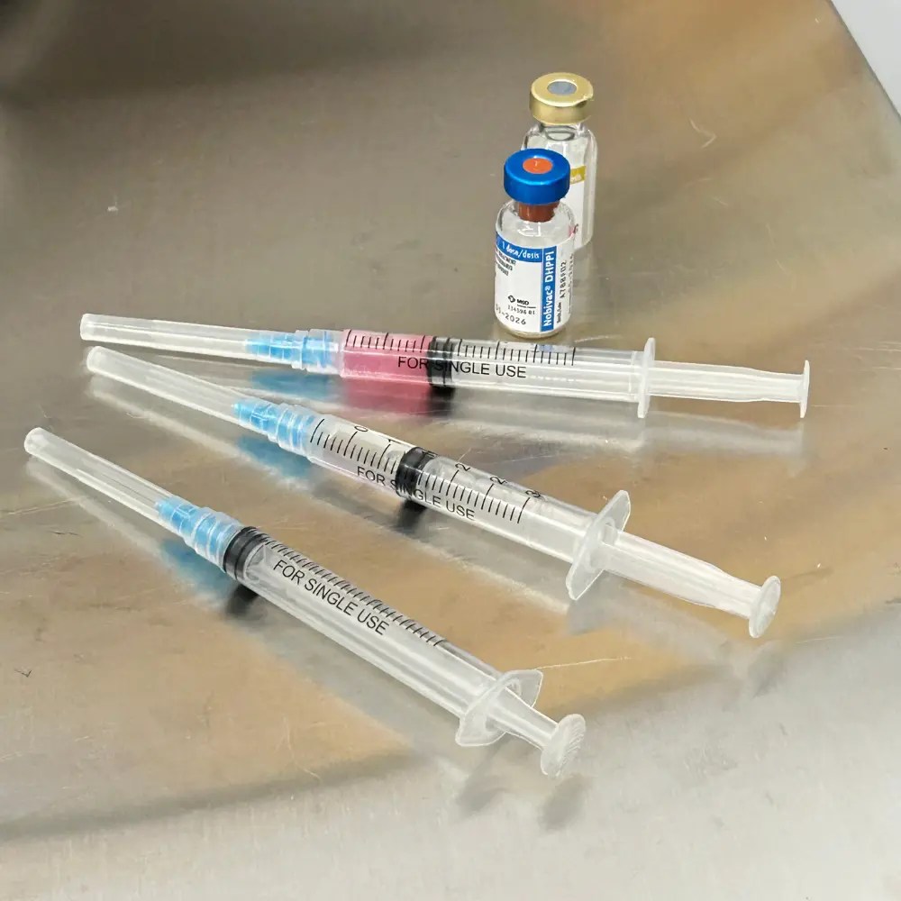 Pet vaccination service in Dubai Hills
