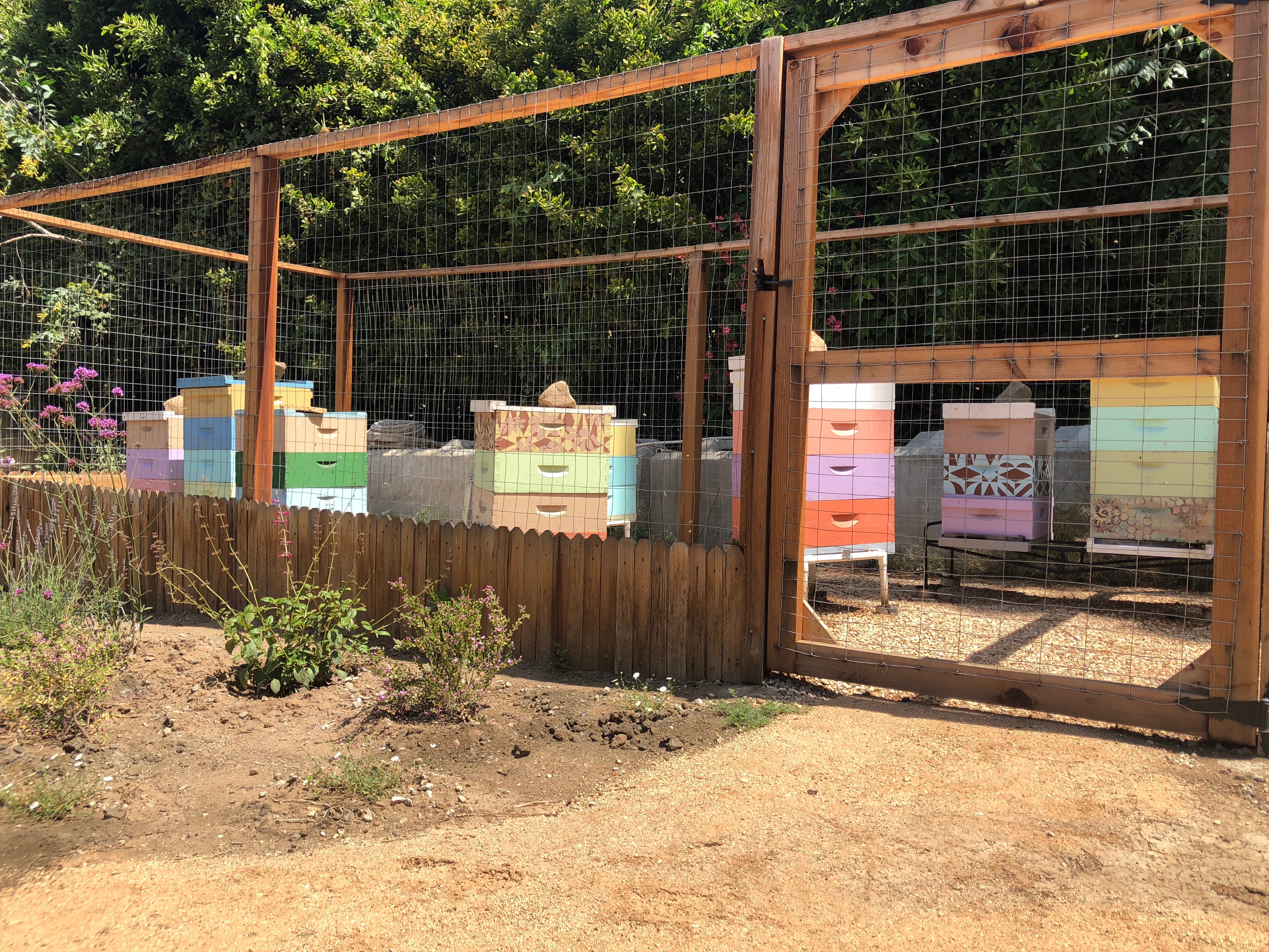 The Hive Tribe Beekeeping at your place.