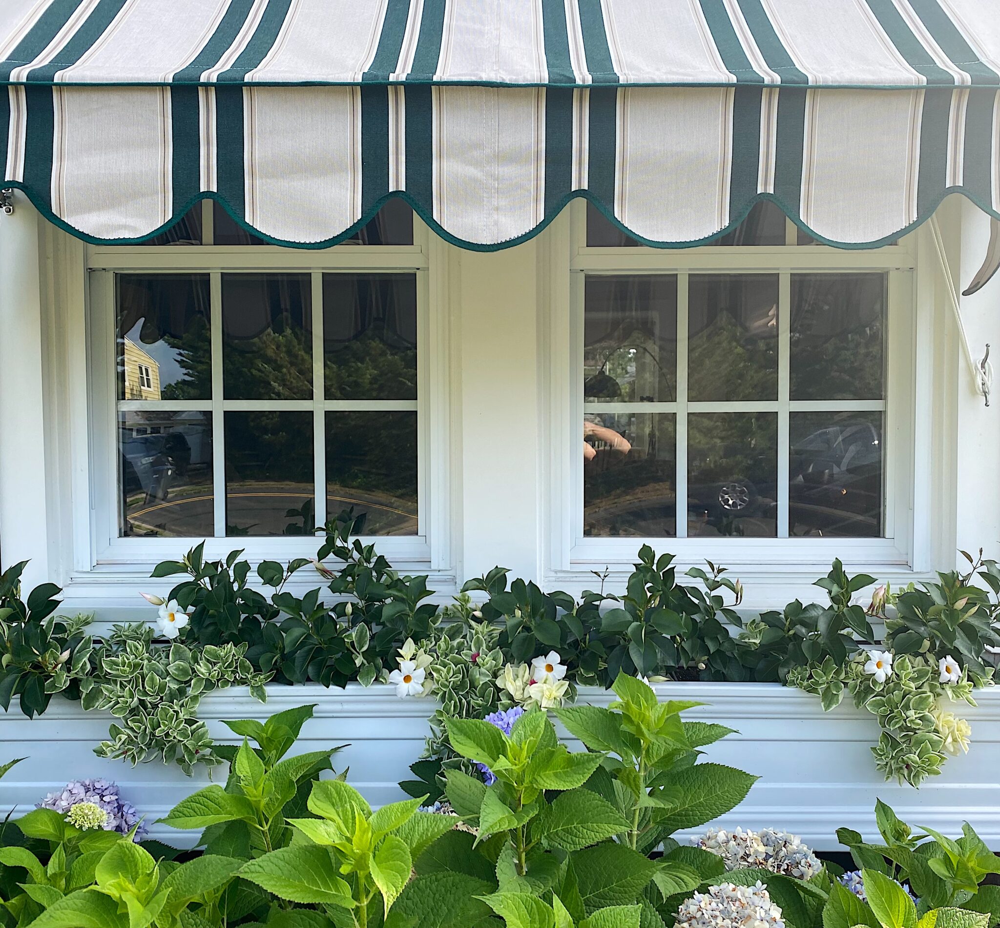 closeup of green and tan stripe awning over double window with window box and trailing flowers