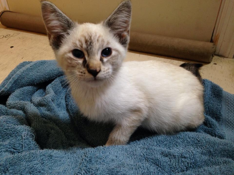 Cheesepuff... cuz thats how we caught her in the woods