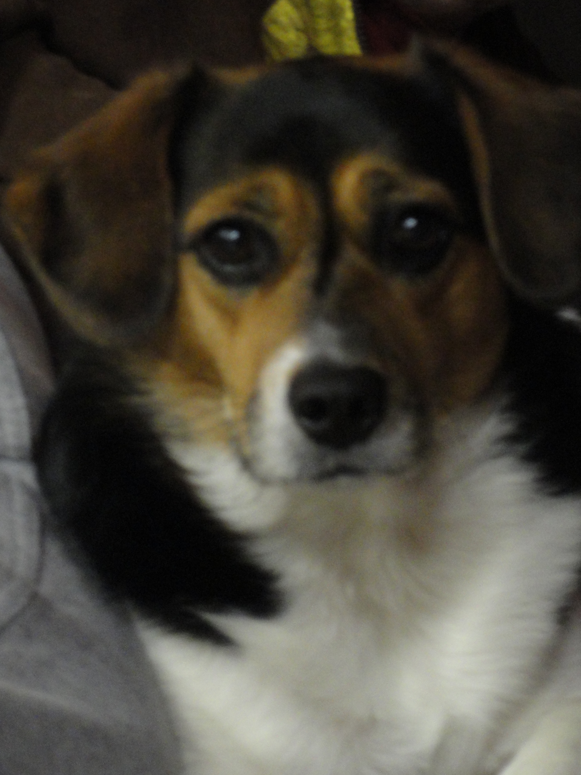 Tillie