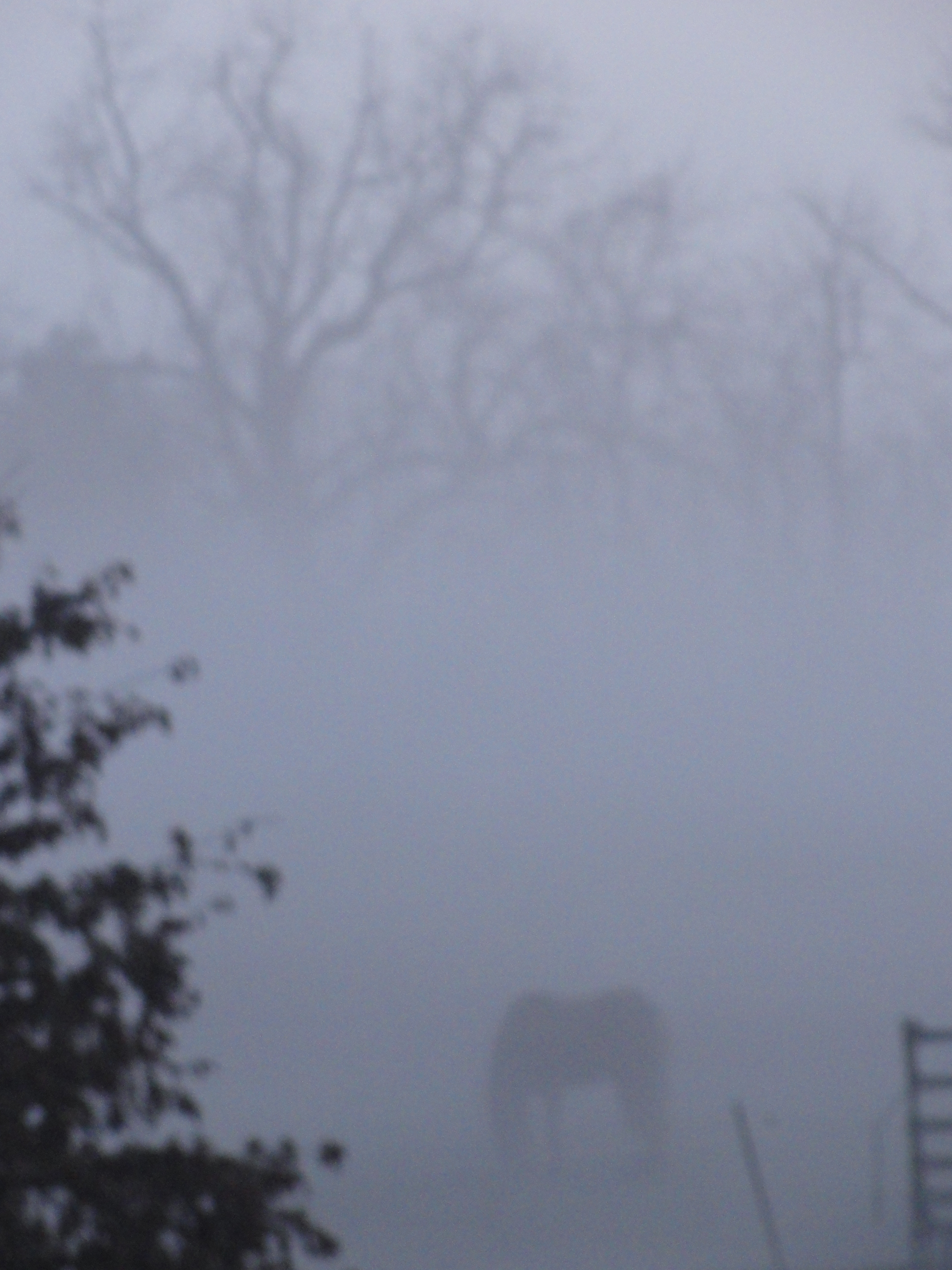 Fog sets in...