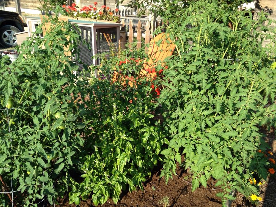 grow maters, grow!