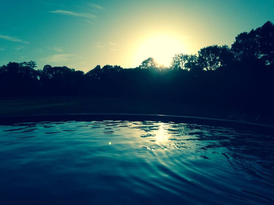 serenity on The Land