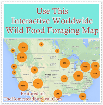 Use This Interactive Worldwide Wild Food Foraging Map The Homestead Use This Interactive Worldwide Wild Food Foraging Map 
