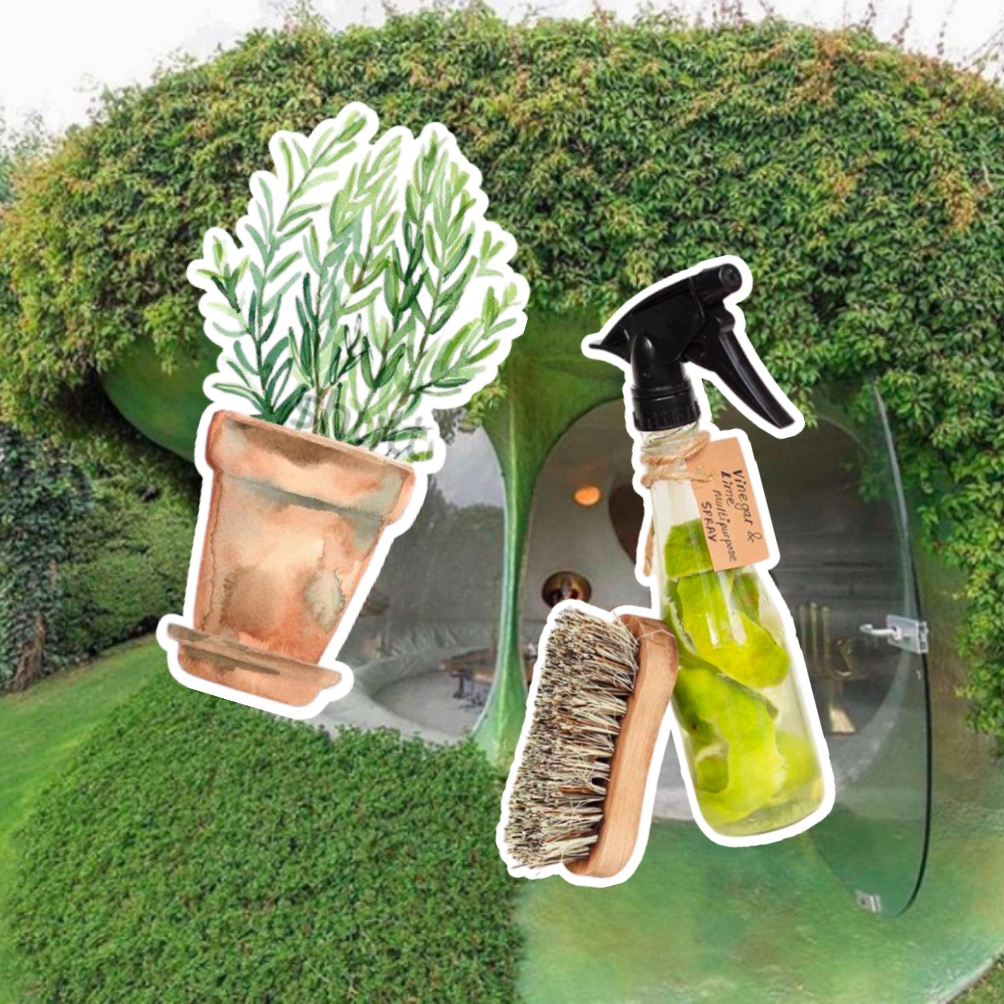 easy ways to make your home more sustainable