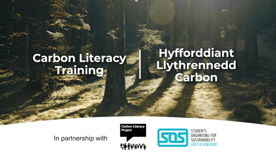'Carbon literacy training' written over an image of trees in a forest.