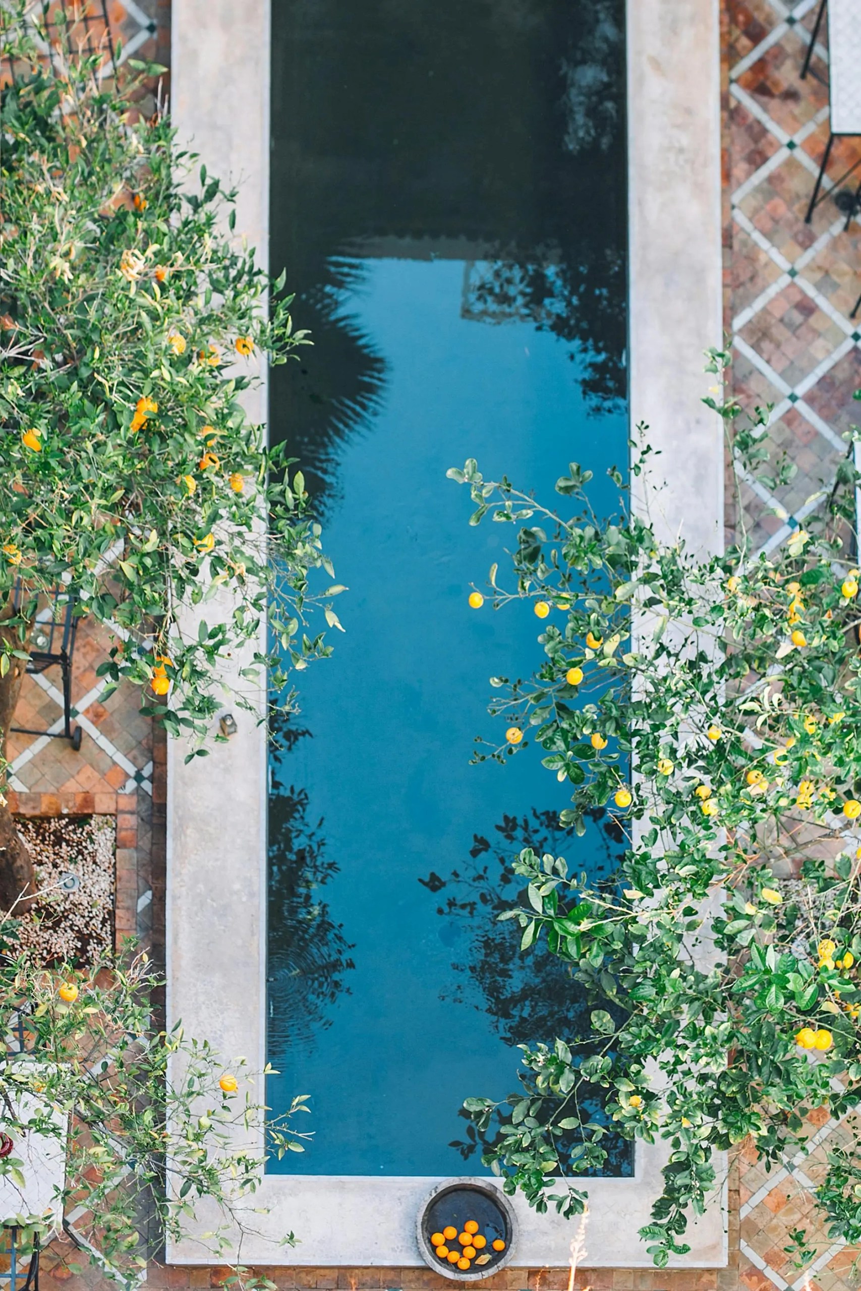 Creating a Water-Efficient Landscape