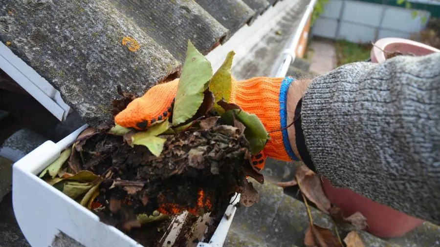 gutter maintenance tips