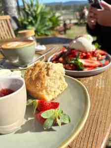 A warm and sunny day at Coffee View Straberry Shack