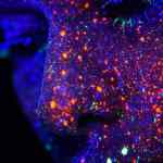 obeah woman whispers new year