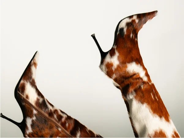 TheHowardMethod_Houston-4