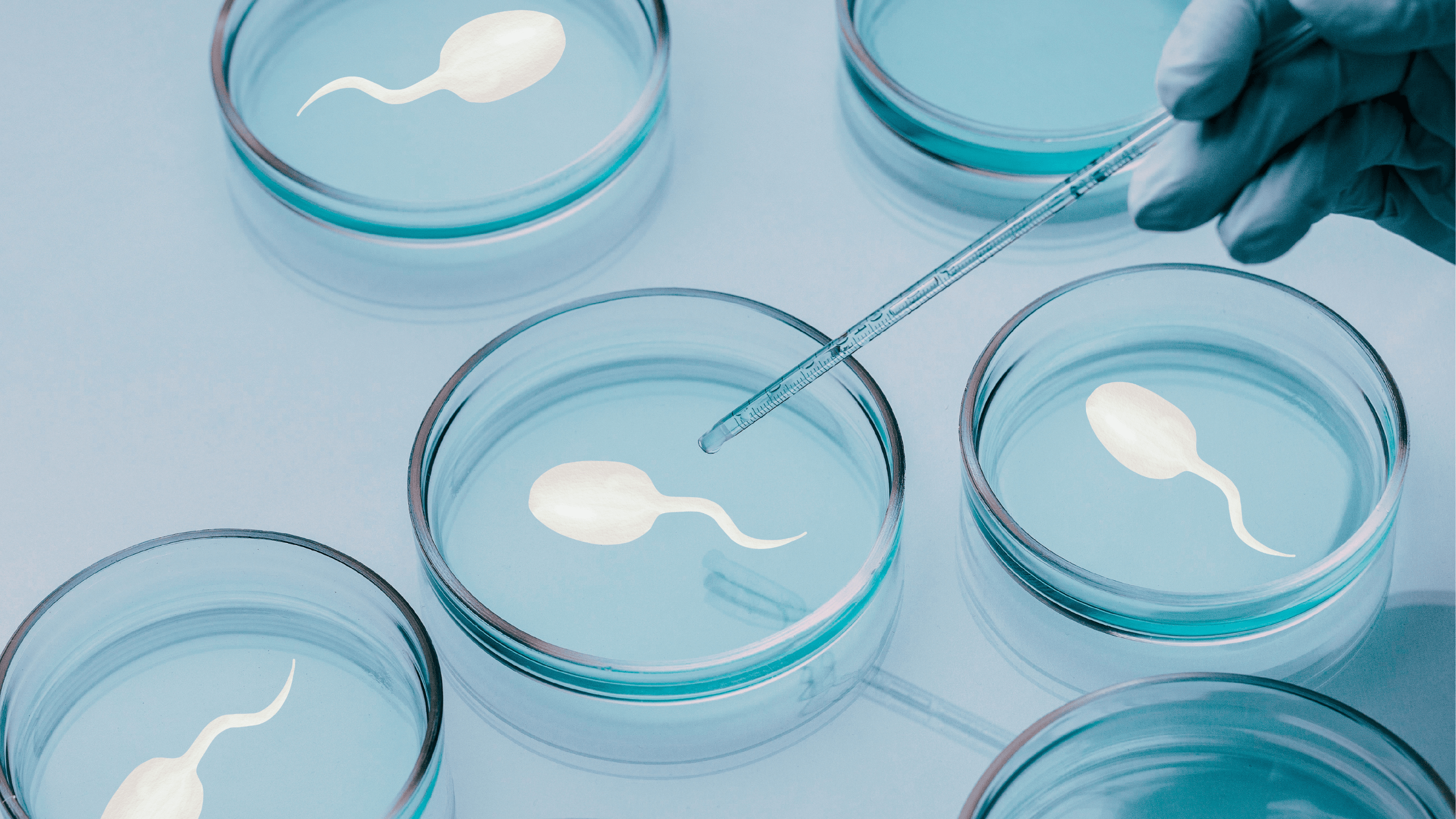 Growing Sperm in a Lab: The Future of Male Infertility Treatment (2026)