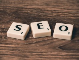 image ofWhite Label SEO vs In-House