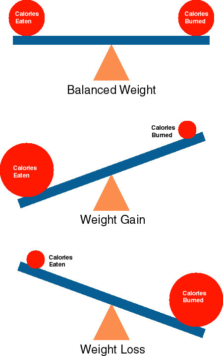 photo Energy Balance Model Nutrition why did your diet stop working the