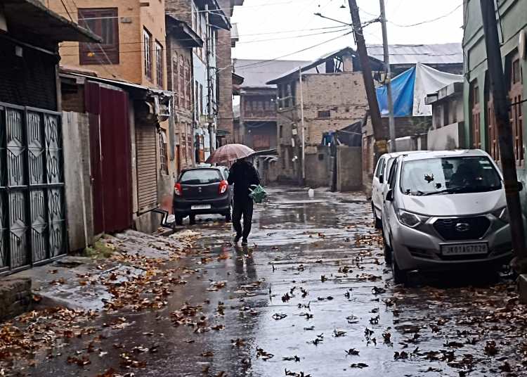 Rains lash Kashmir plains; MeT forecasts more wet weather during next 24 hours in J&K The INS News