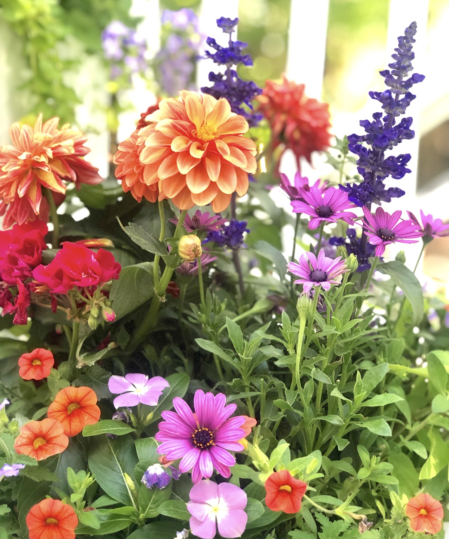 Spectacular Summer Containers - The Inspired Garden