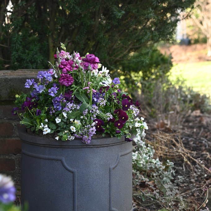 spring container garden in New Jersey