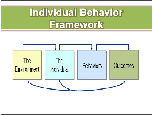 Foundations of individual behavior