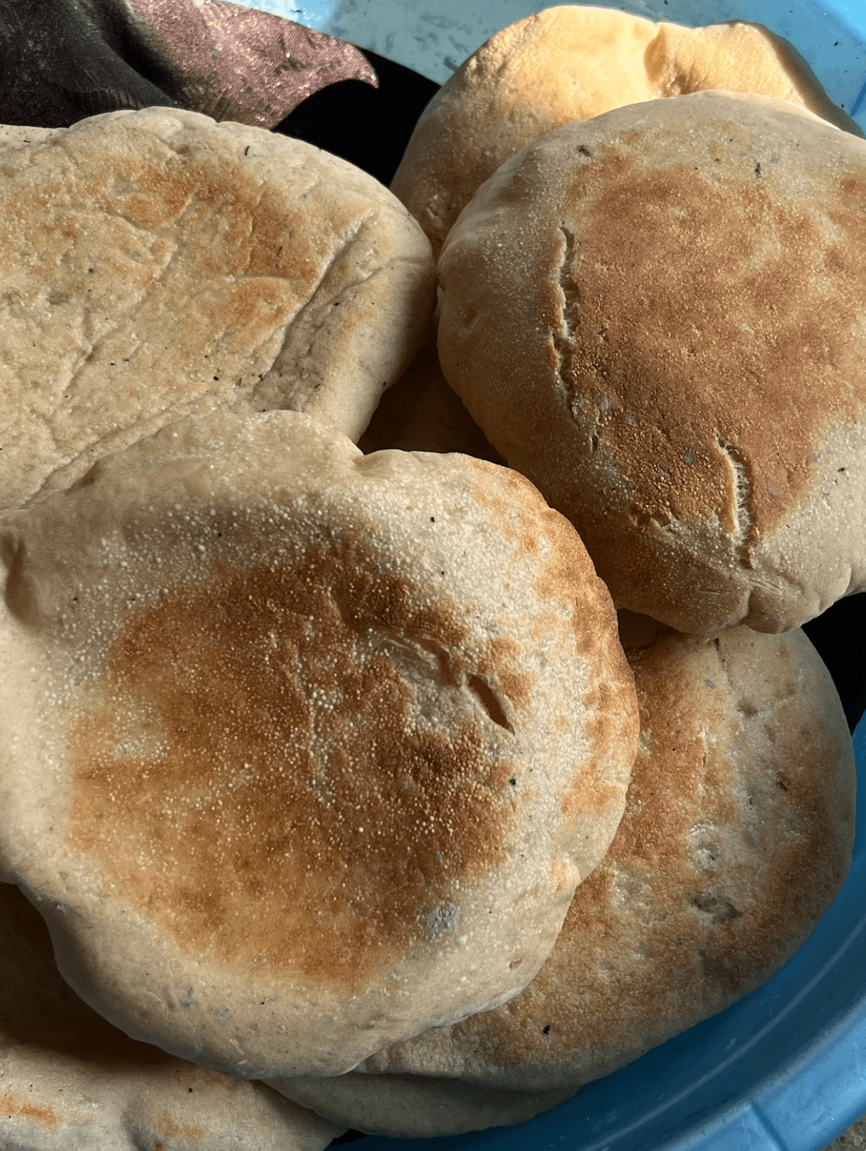Gaza Hunger Diary: Stories of Food Insecurity - News Directory 3