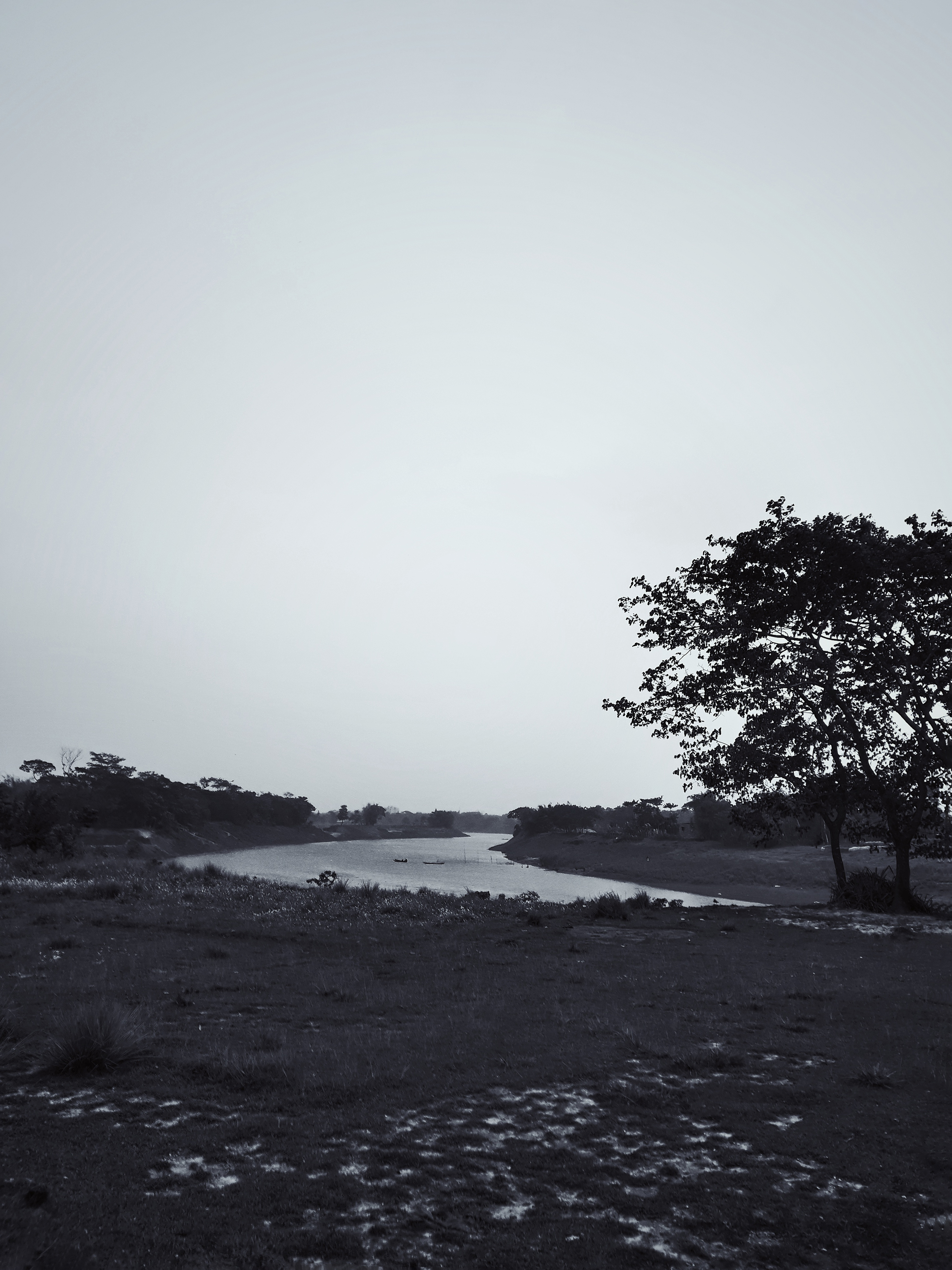 Freedom: A Photo Collection by The Interlude