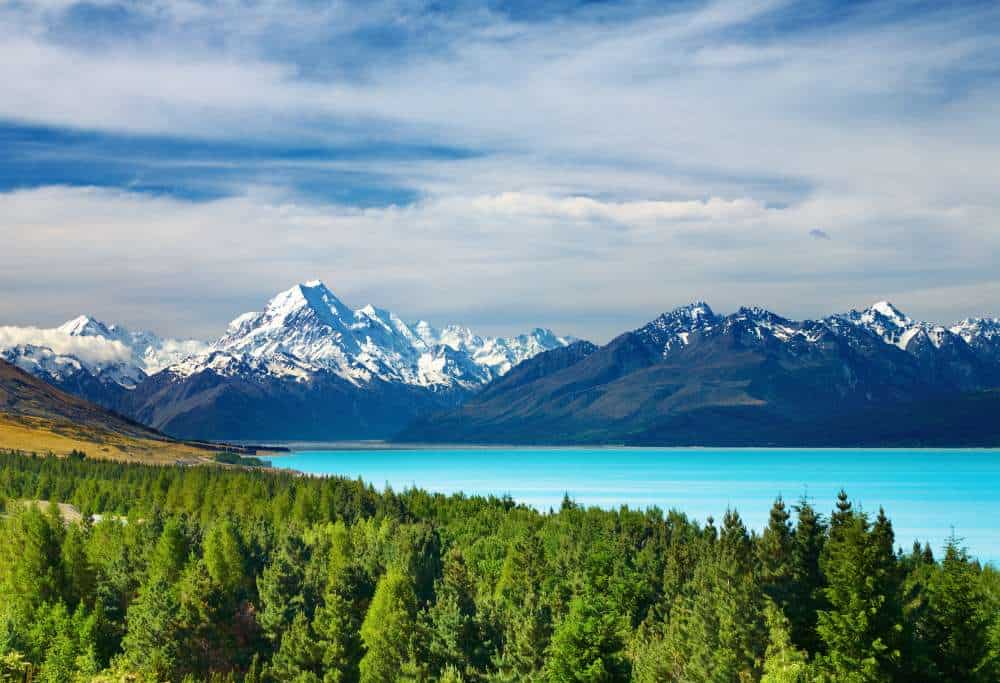 Mount Cook from afar with trees in the front and the mountains with snow covered caps in the back.
