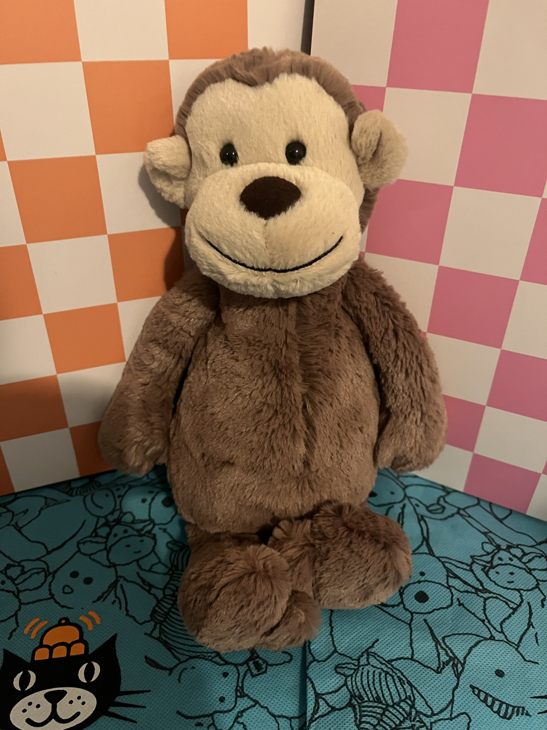 Bashful Monkey