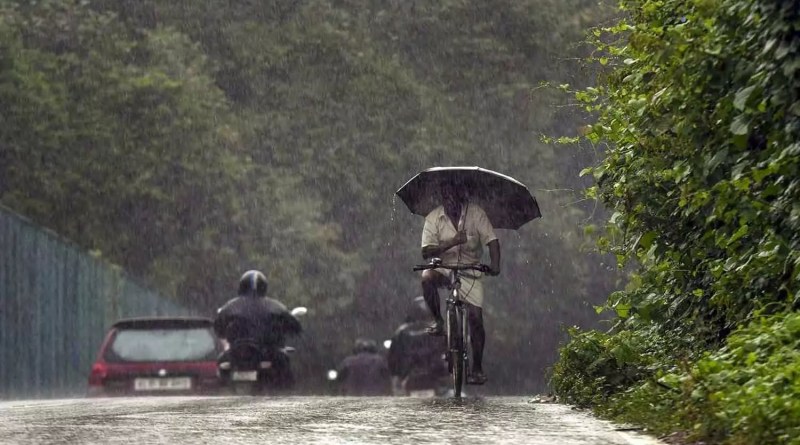 rain