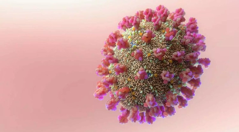 virus