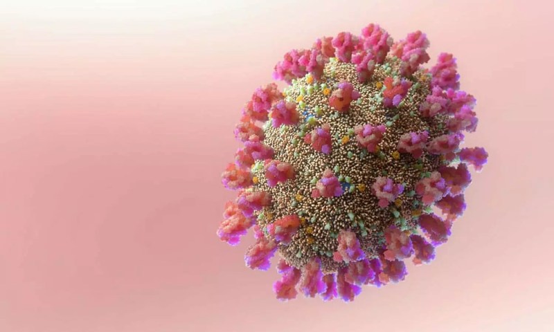 virus